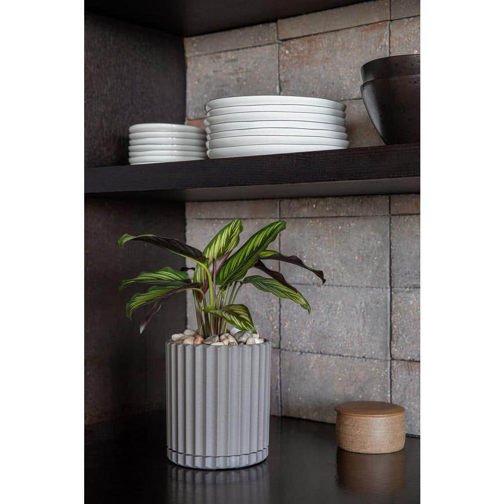 Demi 6" Gray Plastic-Stone Round Planter