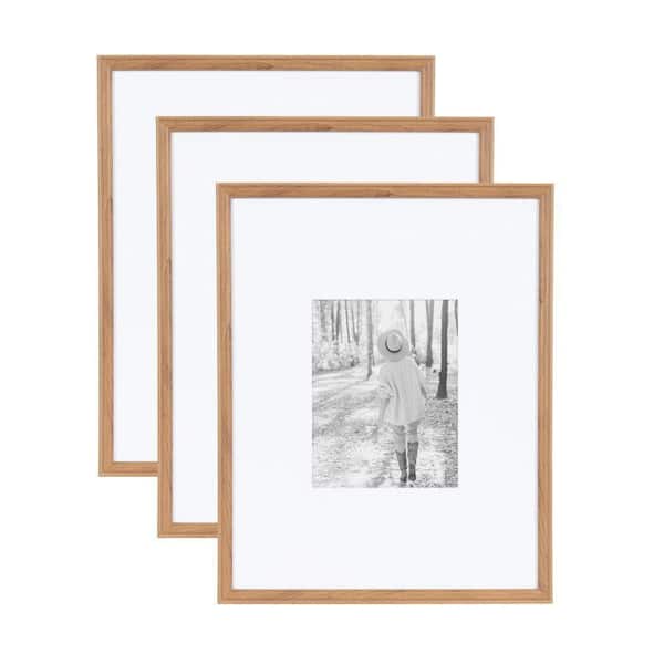 Kate and Laurel Adlynn 16 in. x 20 in. Brown Picture Frame (Set of 3)