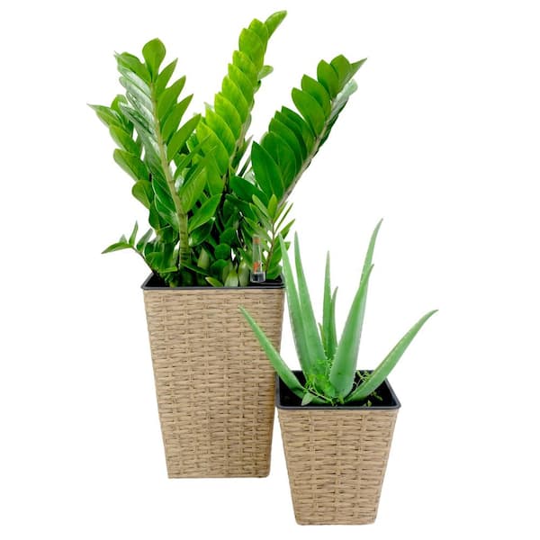 Otryad Medium 9 in. and 7 in. Smart Self-Watering Square Planter with Water Level Indicator - Hand Woven Wicker (2-Pack)