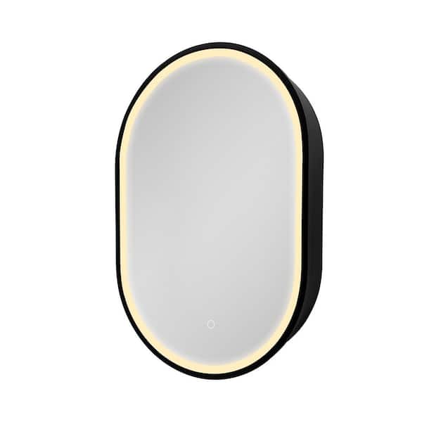 31 in. W x 21 in. H Oval Iron Surface Mount Bathroom Medicine Cabinet Anti-Fog Function 3-Color LED with Mirror