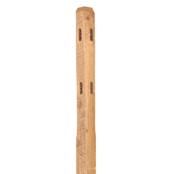 Unbranded 5 in. x 5 in. x 6 ft. 2-Hole Red Cedar Wood Fence Corner Post