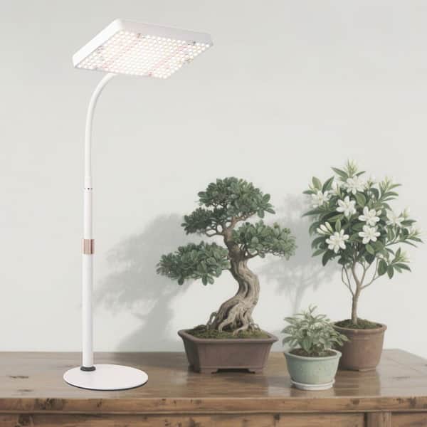 BeamBox 16-24 in. Height Adjustable LED Tabletop Grow Light Full