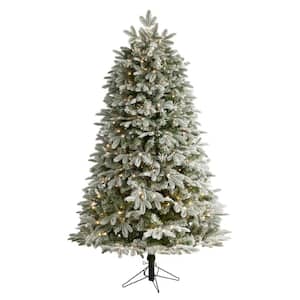 6 ft. Flocked Colorado Mountain Fir Artificial Christmas Tree w/500 Warm White Microdot LED Lights & Bendable Branches