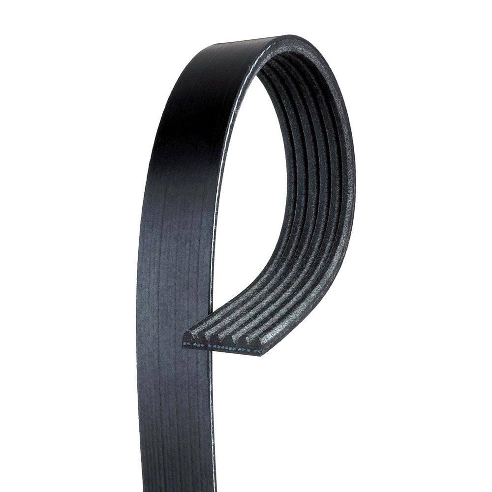 Standard V-Ribbed Serpentine Belt - ACDelco (6K551