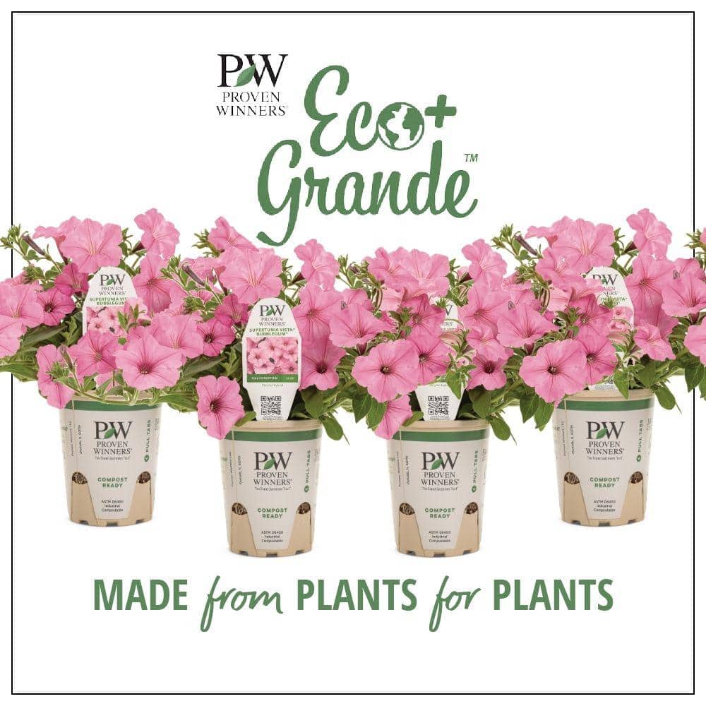 PROVEN WINNERS 4-Pack, 4.25 in. Eco+Grande Supertunia Vista
