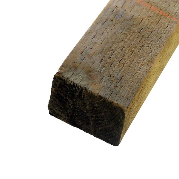 Unbranded 2 in. x 3 in. x 8 ft. #2 Pressure-Treated Board