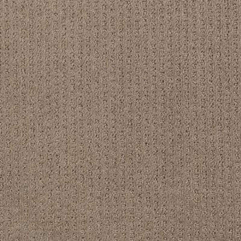 8 in. x 8 in. Texture Carpet Sample - Sequin Sash -Color Cocoa price history on PriceWatchPro