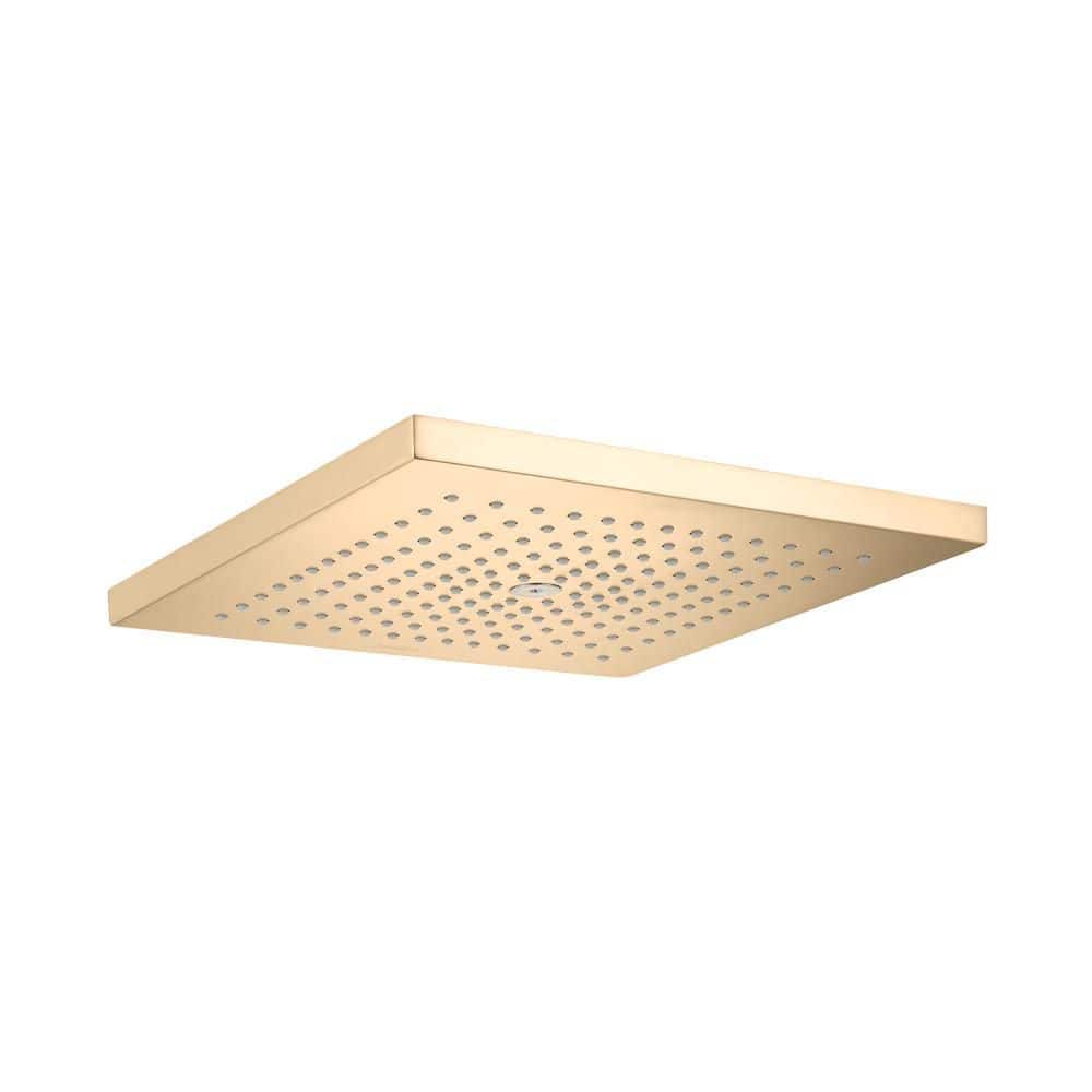 Hansgrohe Raindance E 1-Spray Patterns with 2.5 GPM 12 in. Wall