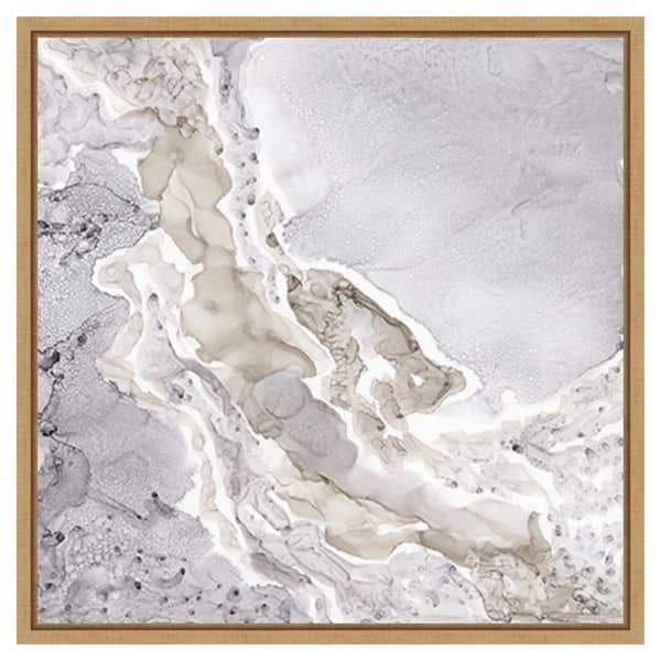 Amanti Art Beige and Grey Mineral Abstract by Tara Reed 22 in. W x 22 in. H Canvas Float Frame in Brown