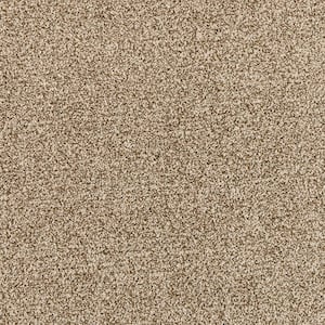 Household Hues II Linen Beige 41 oz. Polyester Textured Installed Carpet