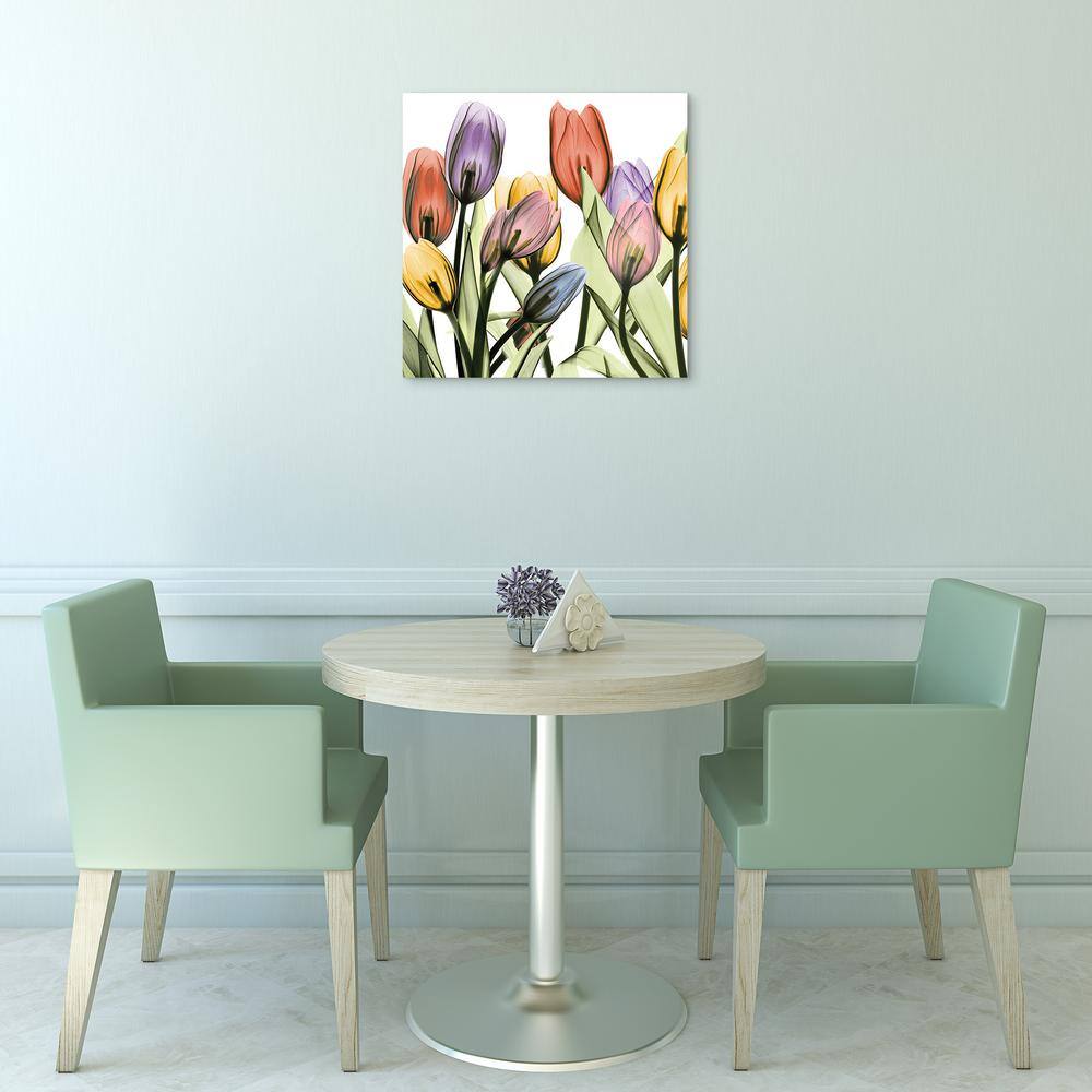 Tulip Scape X-Ray I & II Frameless Tempered Glass Wall Art Set