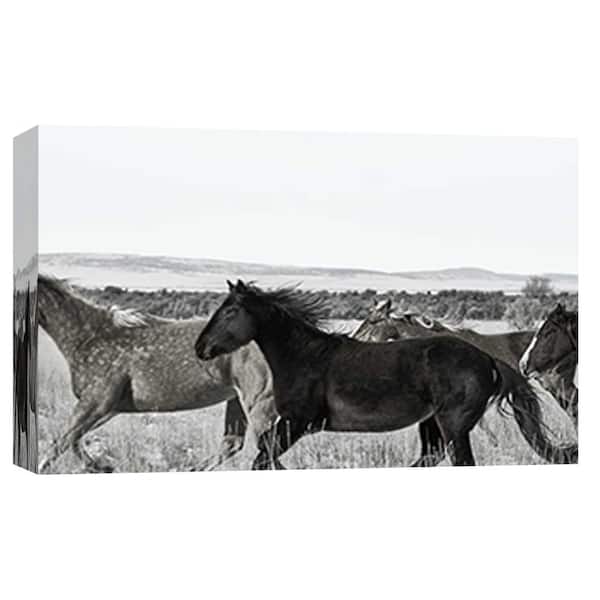 PTM Images 10 in. x 12 in. ''Horse Fort Ranch 14'' Printed Canvas Wall Art