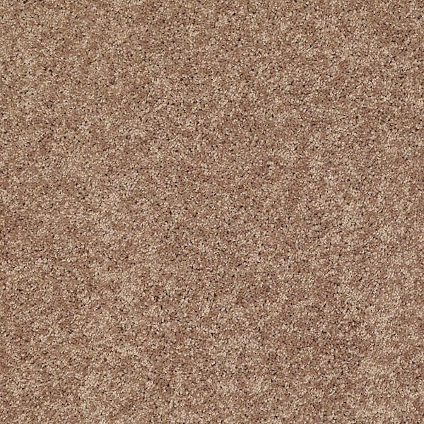 TrafficMaster 8 in. x 8 in. Texture Carpet Sample - Palmdale II - Color Toasty Warm
