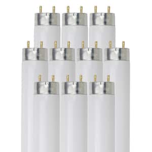 4 ft. 32-Watt Linear T8 Fluorescent Tube Light Bulbs, Cool White 4100K (10-Pack)
