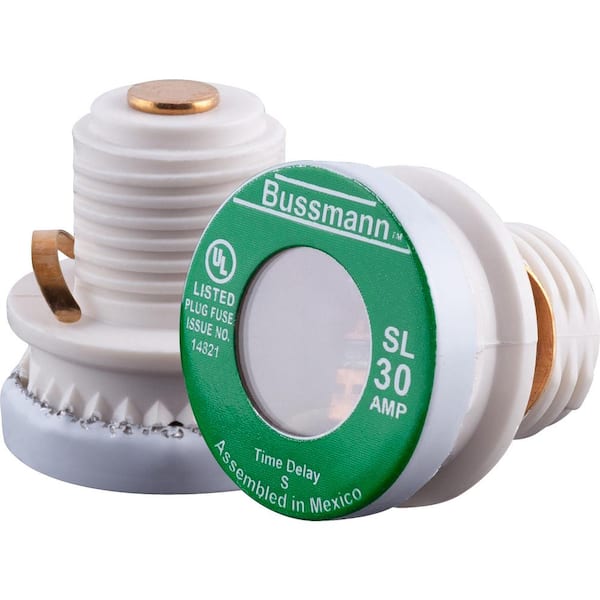 GE 30 Amp Type Time Delay Fuse (2-Pack)