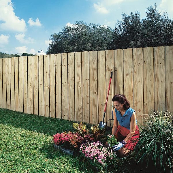 Pine dog on sale ear fence panel