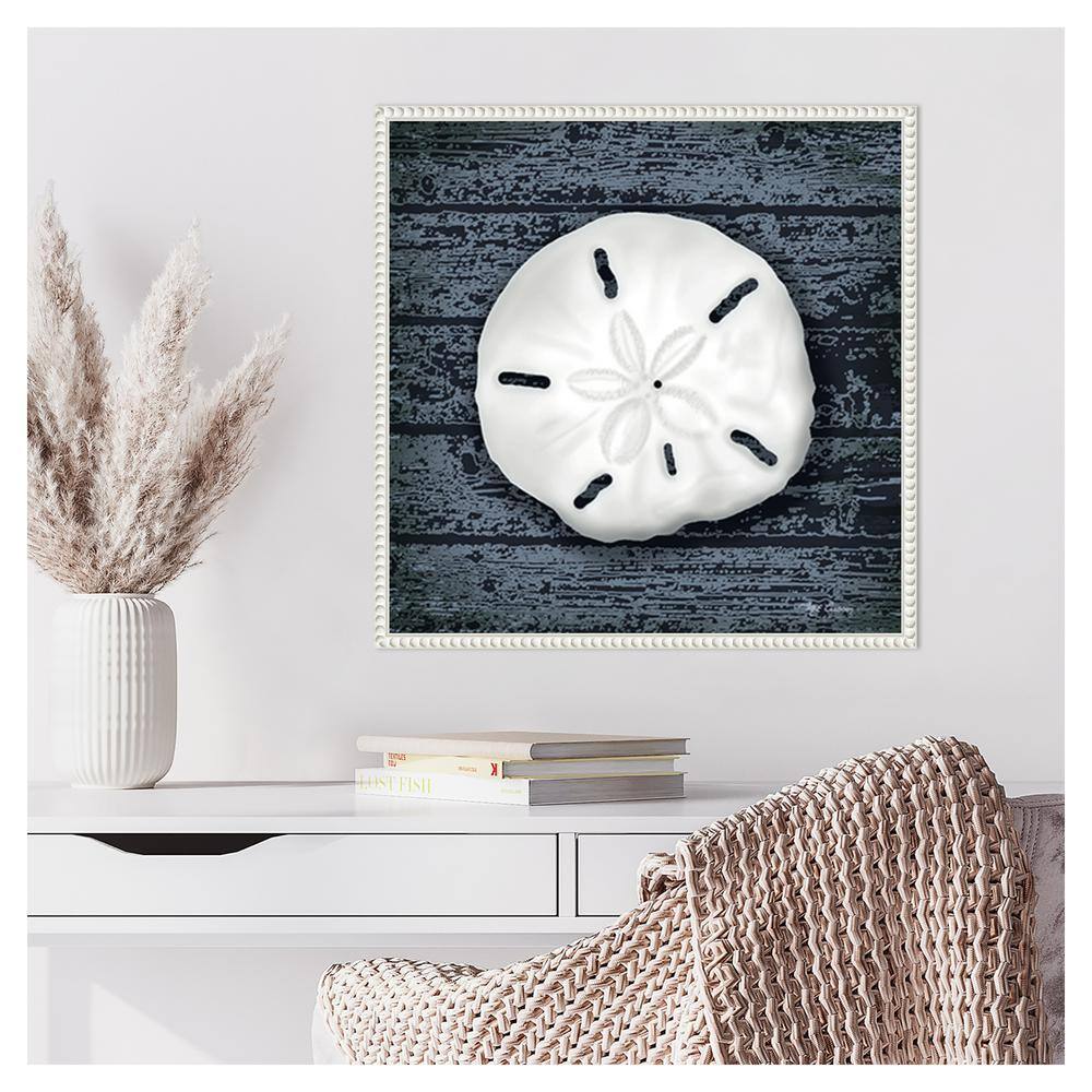 Seashore Shells Navy II White Floater Frame Canvas Print