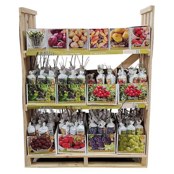 VAN ZYVERDEN DBL Fruit South Bulb Rack