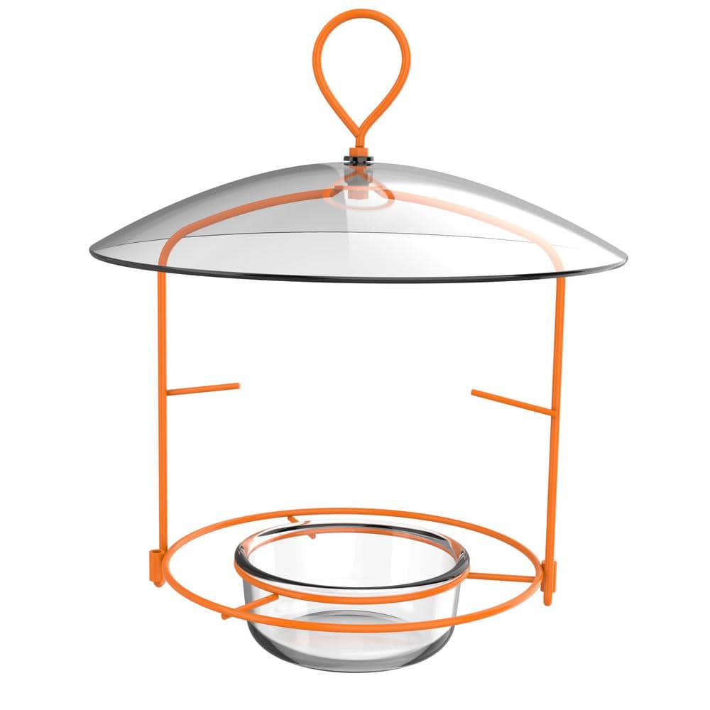 Nature's Way Oriole Wire Feeder 3/4 Cup OFM1-CP1 - The Home Depot