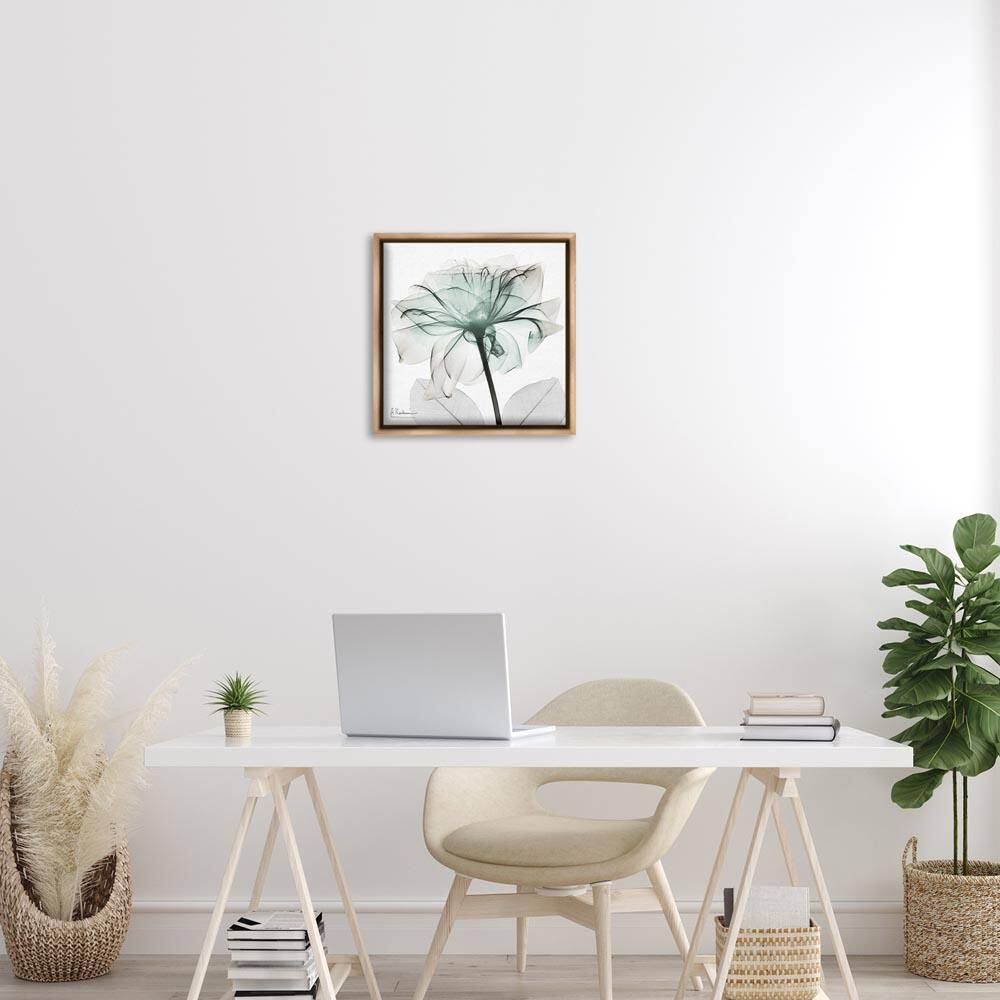 Unique Chic Flower Petal by Albert Koetsier Brown Floater Frame Nature Graphic Art Print 18 in. x 18 in. price history on PriceWatchPro