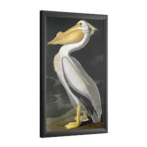 "American White Pelican" by John James Audubon Framed with LED Light Animal Wall Art 24 in. x 16 in.