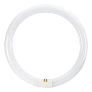 32-Watt 12 in. Linear T9 Circline Fluorescent Tube Light Bulb Bright White (3000K) (1-Pack)