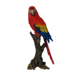 Parrot on Branch