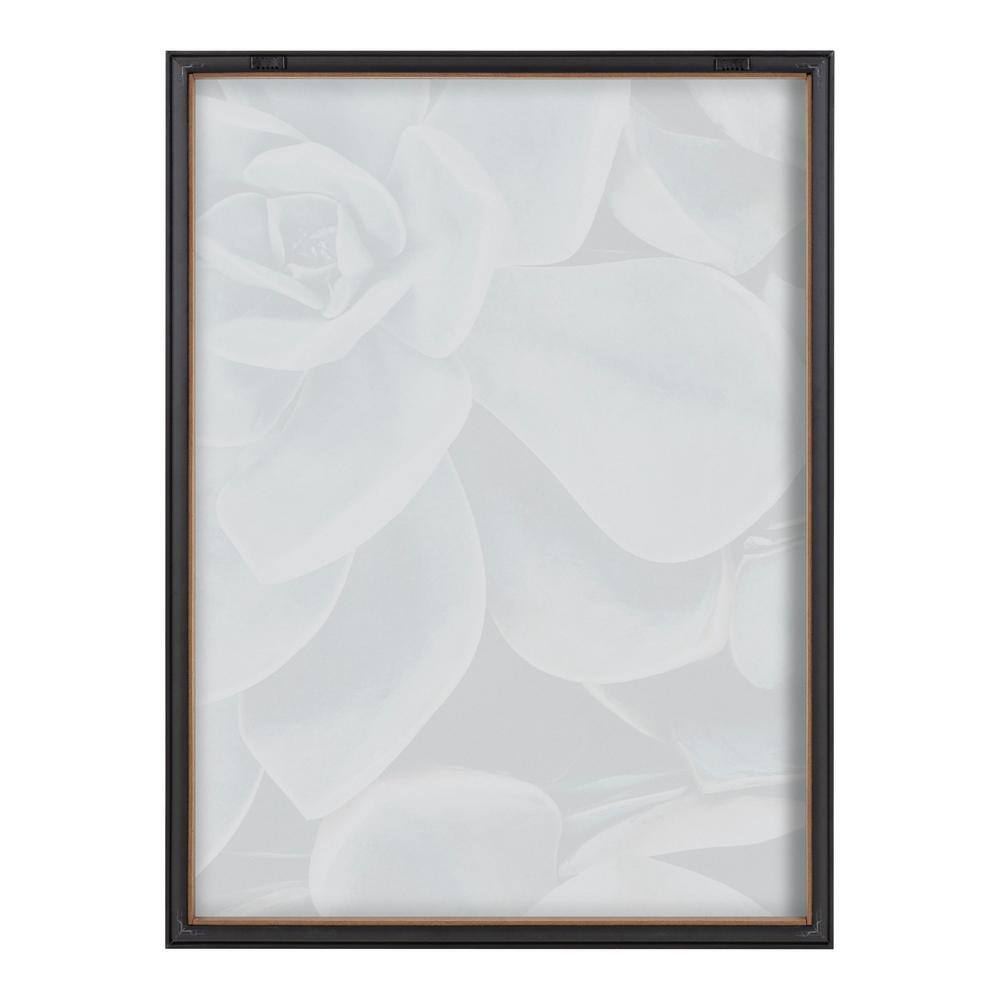 Gray Framed Botanical Succulent Plant Wall Art Set