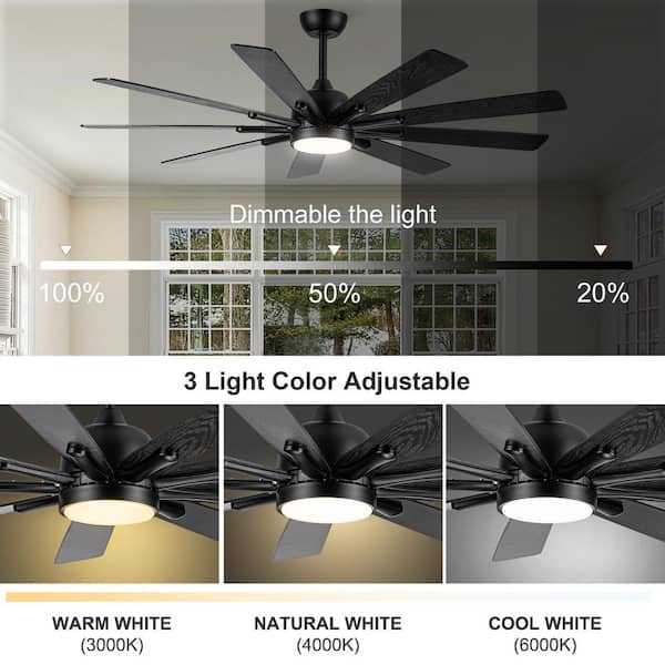 Jushua 21.7 in. Integrated LED, Dimmable, Black Indoor Fan Adjustable,  Modern Country Style Farmhouse Fan Light with Remote Z-W1340103803 - The  Home Depot