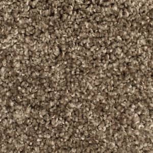 Pioneer - Moccasin - Brown 73.5 oz. SD Polyester Texture Installed Carpet