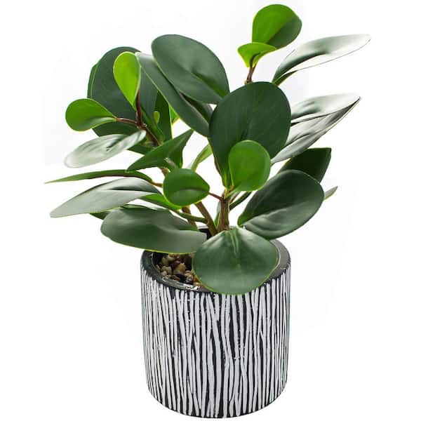 8 in. Green Indoor/Outdoor Artificial Fiddle-Leaf Fig-Faux Evergreen Plant in a Rustic Black Cement Planter