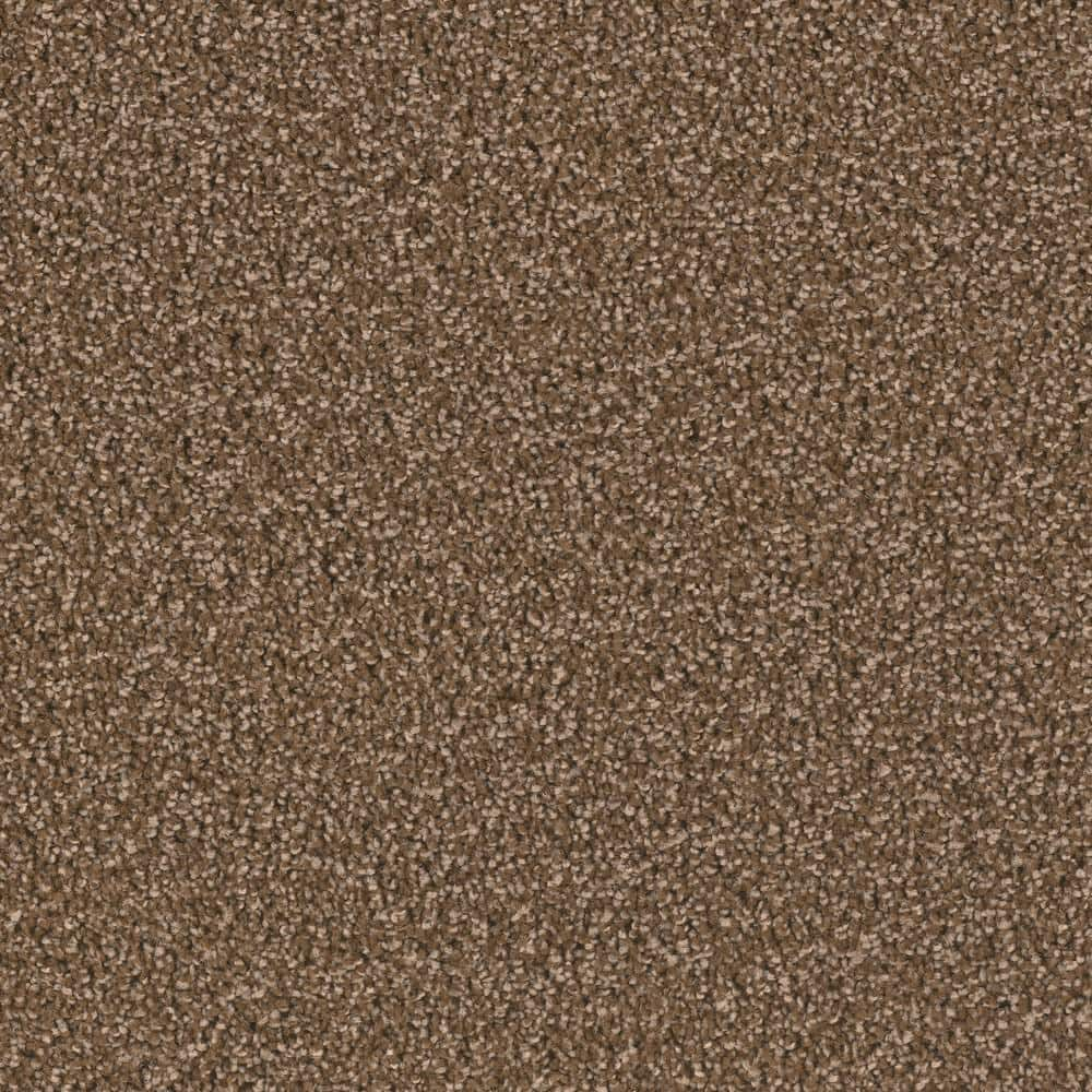 Home Decorators Collection 8 in. x 8 in. Texture Carpet Sample ...