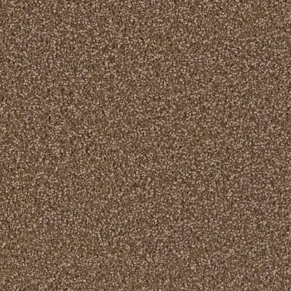 Home Decorators Collection 8 In. X 8 In. Texture Carpet Sample 