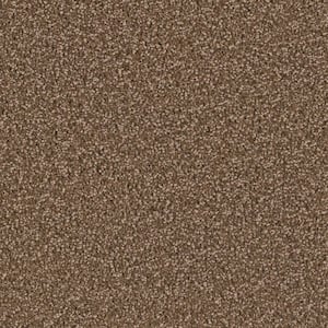 Delicate Flower  - Fragile - Brown 40 oz. SD Polyester Texture Installed Carpet