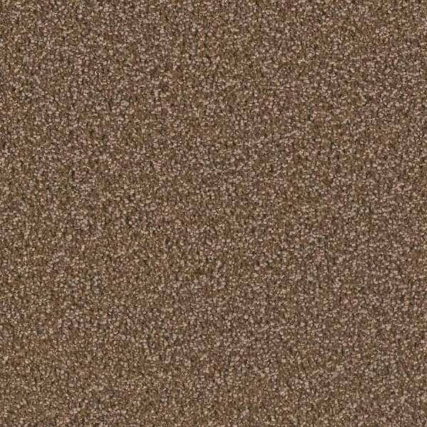 Home Decorators Collection Delicate Flower  - Fragile - Brown 40 oz. SD Polyester Texture Installed Carpet