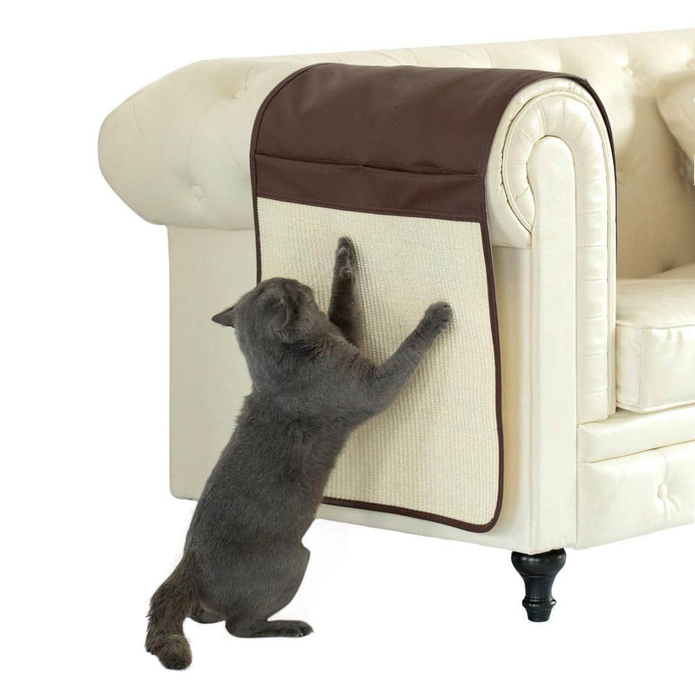 Diy Cat Couch | lupon.gov.ph