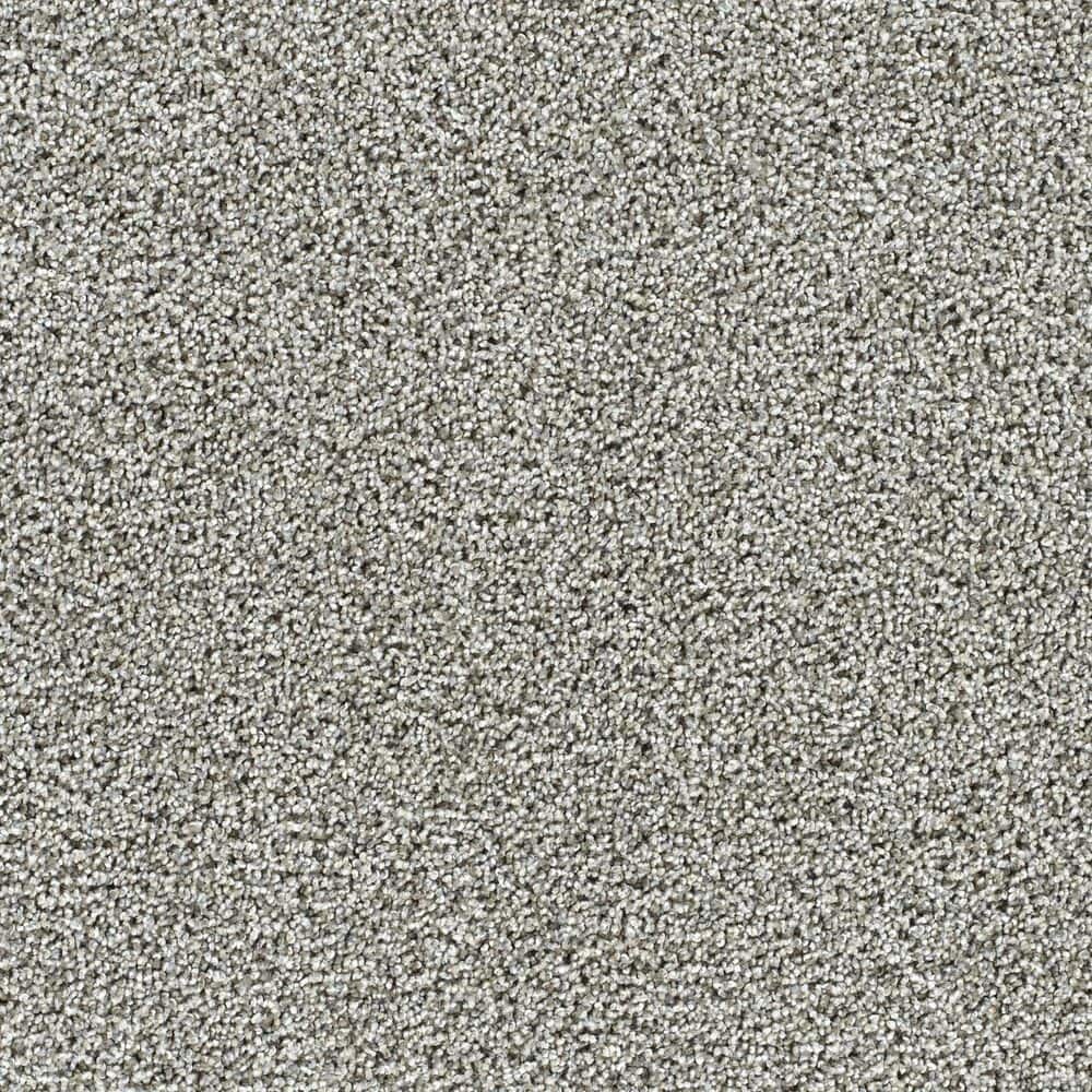 8 in. x 8 in. Texture Carpet Sample-Easel-Color Murals price history on PriceWatchPro