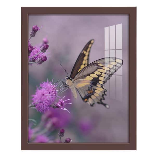 Wexford Home Modern 11 in. x 14 in. Brown Picture Frame