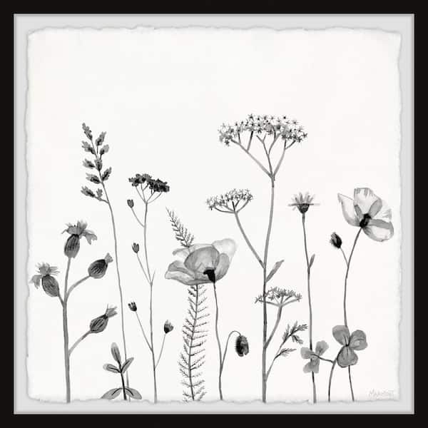 Unbranded All About Poppies By Parvez Taj Framed Nature Art Print 24 in. x 24 in.