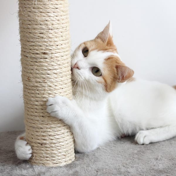 Pet Pal 19.25 in x 15.75 in Cat Scratching Post