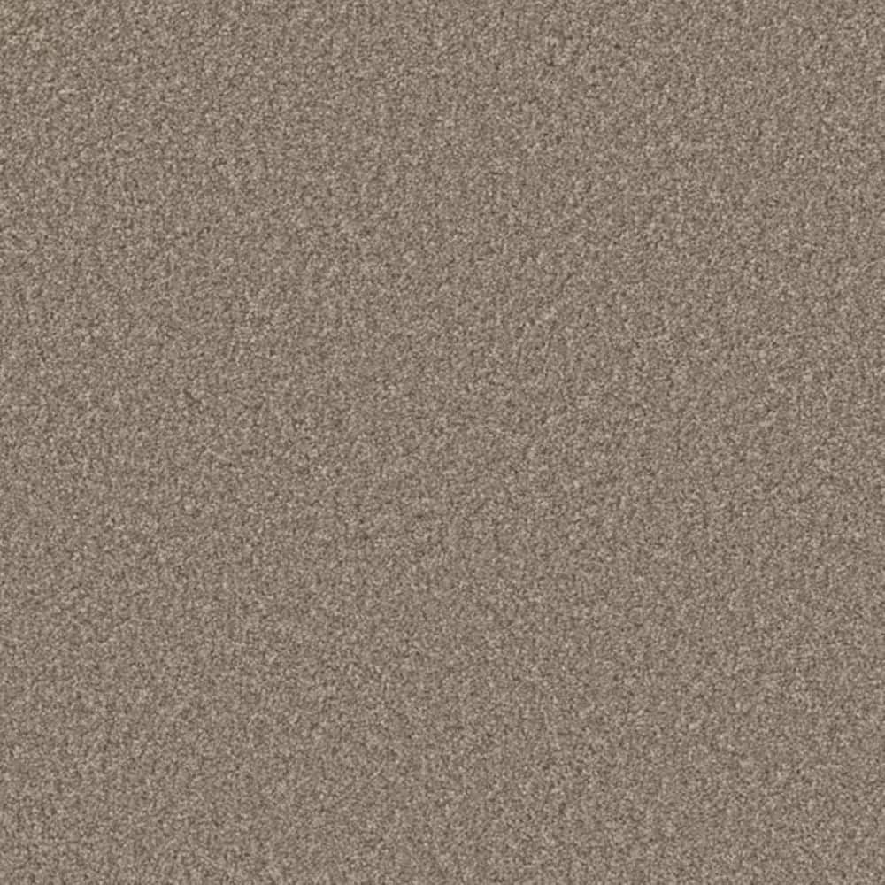 8 in. x 8 in. Texture Carpet Sample-Gentle Glimmer II-Color Sparkle price history on PriceWatchPro