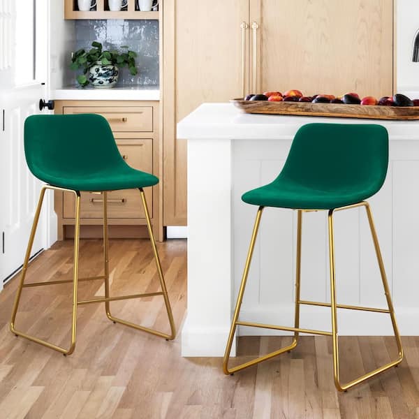 LUE BONA Alexander 24 in. Emerald Bar Stools Low Back Metal Frame Counter Height Bar Stool With Velvet Upholstery Seat (Set of 2)