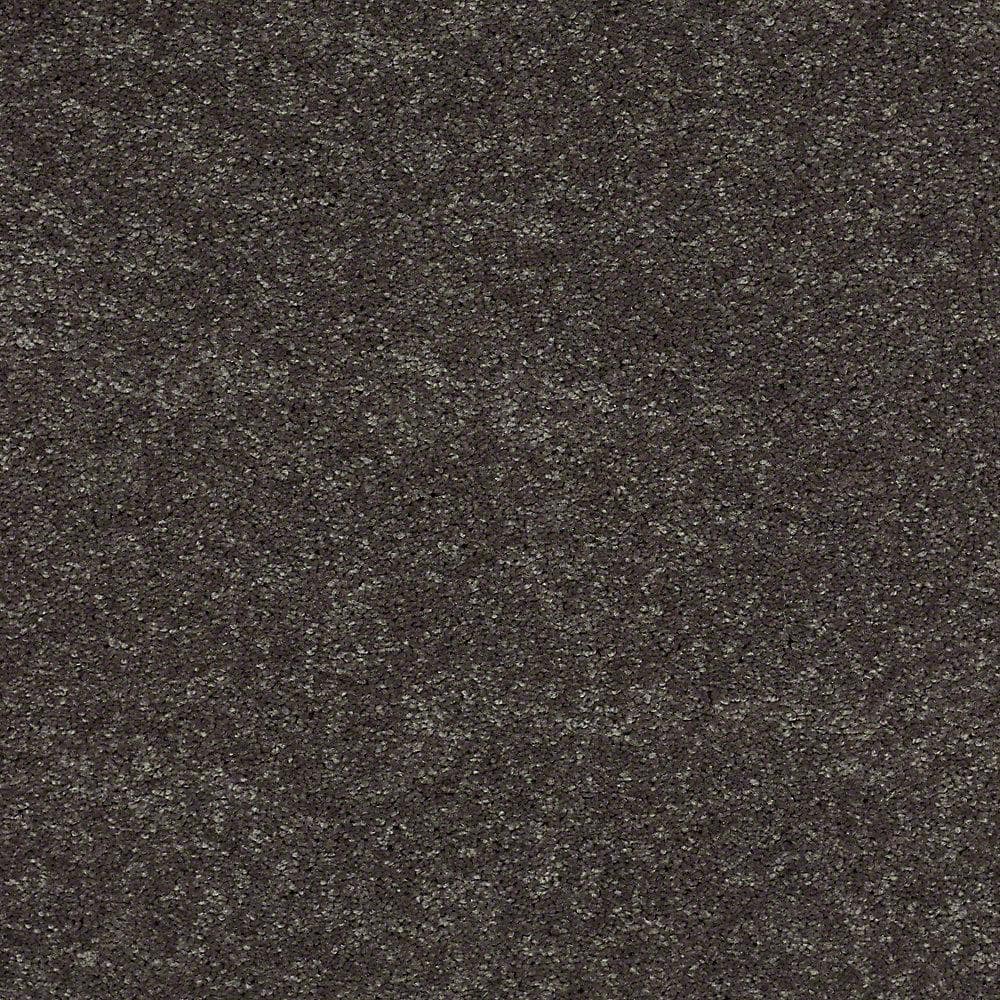 8 in. x 8 in. Texture Carpet Sample - Brave Soul II - Color Black Satin price history on PriceWatchPro