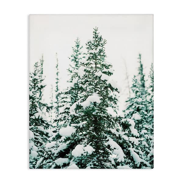 Stupell Industries Woodland Fir with Snow by Justine Milton 1-Piece Unframed Graphic Print Nature Poster Art Print 20 in. x 16 in.