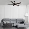 carro-ceiling-fans-with-lights-hcfr525e5-l11-b5-1-31-hotspot.1