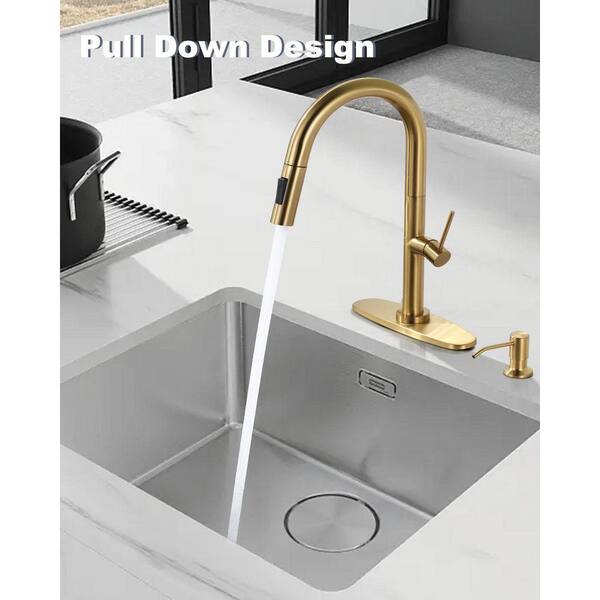 ARCORA Stainless Steel Single Handle Pull-Down Sprayer Kitchen