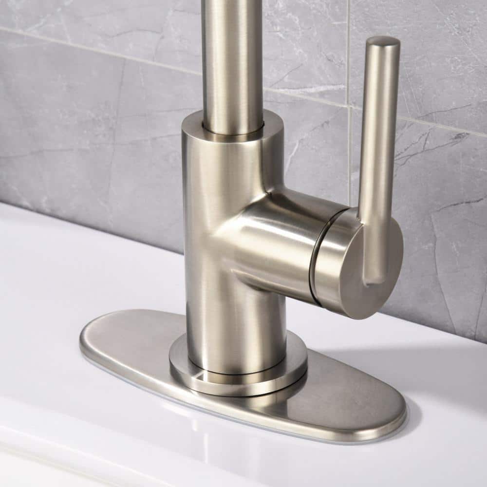 Brushed Nickel Single-Handle Bathroom Faucet with Drain Assembly