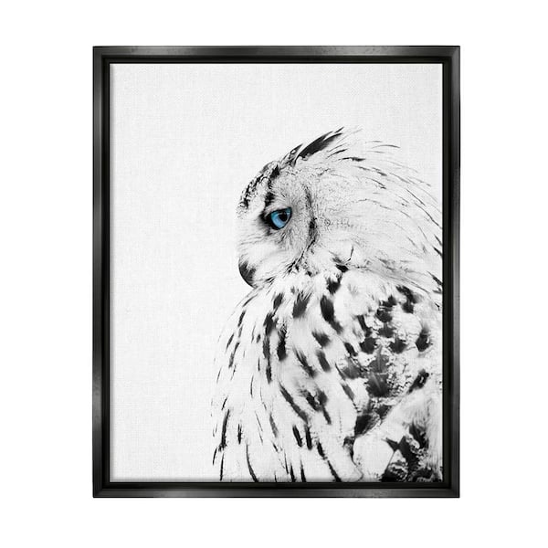 The Stupell Home Decor Collection Snow Owl White Feathers Peering Blue Eyes by Design Fabrikken Floater Frame Animal Wall Art Print 25 in. x 31 in.