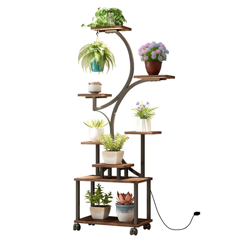 8/30まで MILLS PLANTS STAND ① walnut-plant-stands-xsps10-