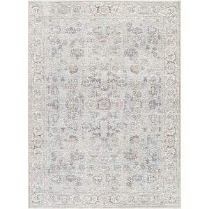 Olympic Light Blue Traditional 5 ft. x 7 ft. Indoor Area Rug